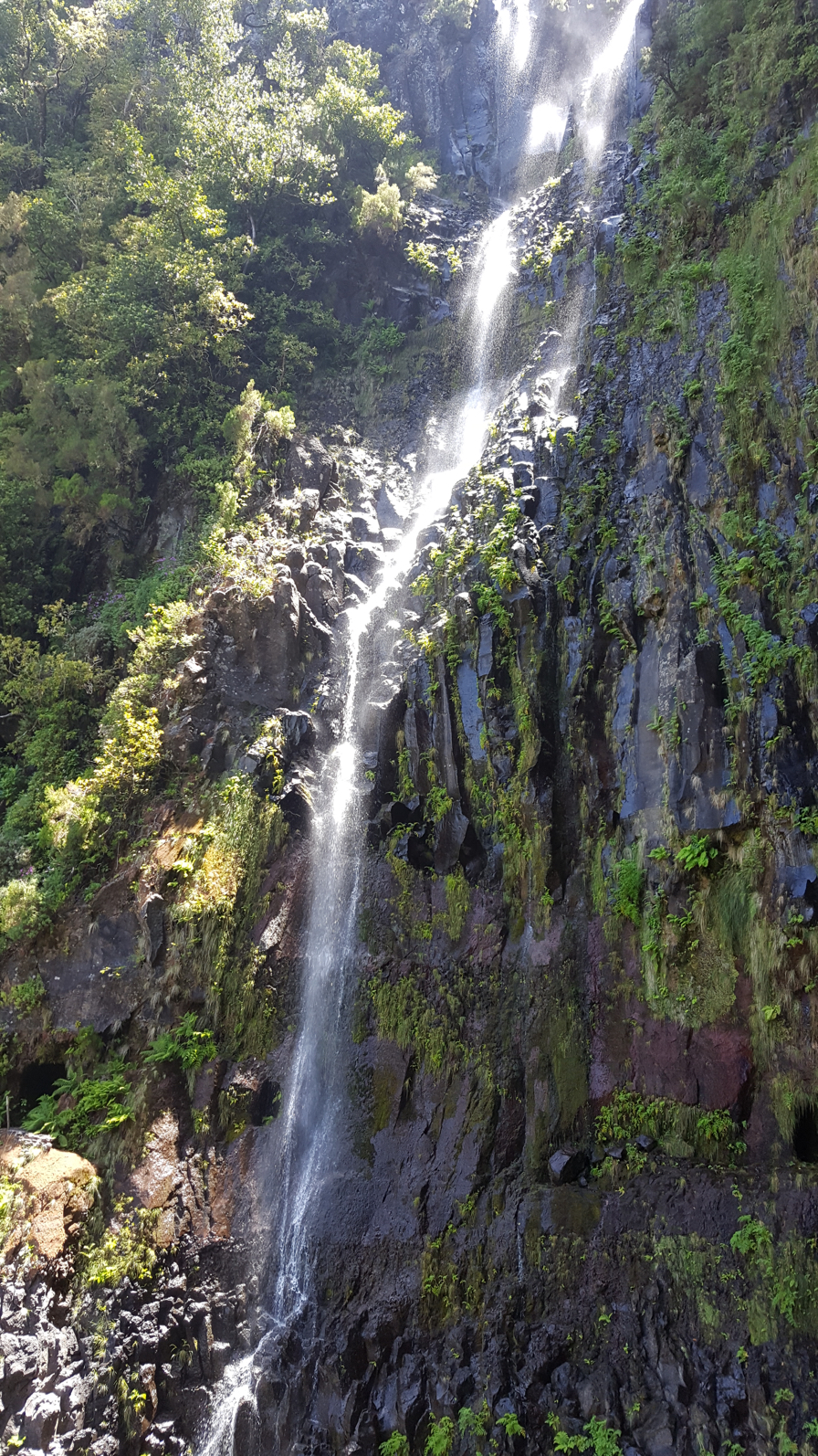 Madeira - Bullerdieck-Schubert Homepage
