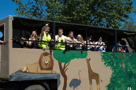 20260525_Bunter-Umzug_0016.jpg
