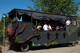 20260525_Bunter-Umzug_0045.jpg